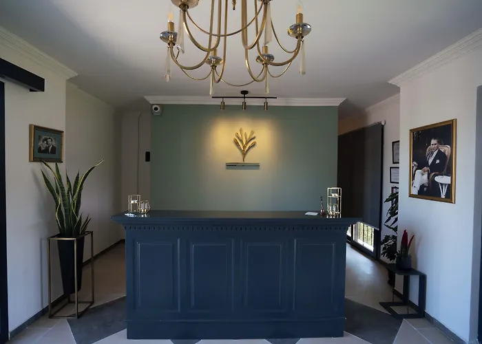 酒店 Cunda Nonna *